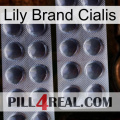 Lily Brand Cialis 31